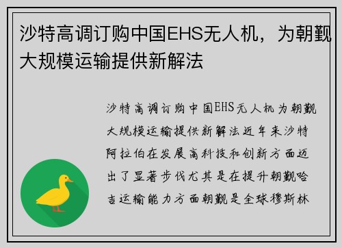 沙特高调订购中国EHS无人机，为朝觐大规模运输提供新解法